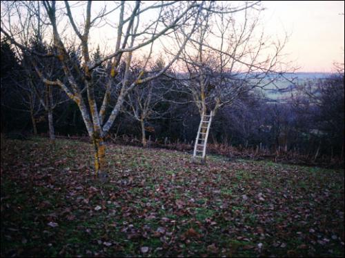 Jean-Luc Moulène, Echelle Fénautrigues, décembre 1998. Cibachrome contrecollé sur aluminium. 80 x 95 x 3 cm. Courtoisie Galerie Chantal Crousel, Paris, © Jean-Luc Moulène