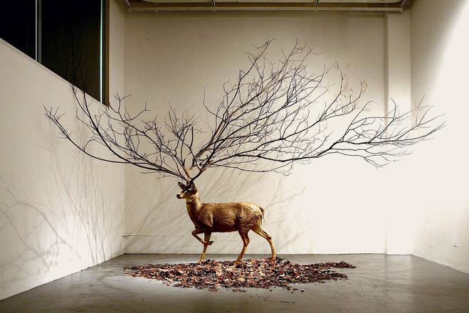 Kim Myeongbeom, Sans titre, 2008. Technique mixte, cerf naturalisé, branches d’arbre, feuilles, 550 x 550 400 cm. Courtoisie del’artiste et Galerie Paris-Beijing, Paris